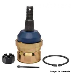 Rótulas de Bandeja Inferior 4x4 Raybestos Profesional Grade para Dodge Dakota 1996