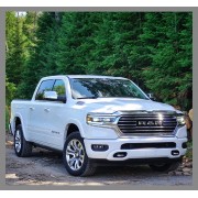 1500 (1981-Presente)